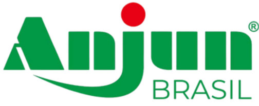 Anjun Brasil — Logomarca oficial